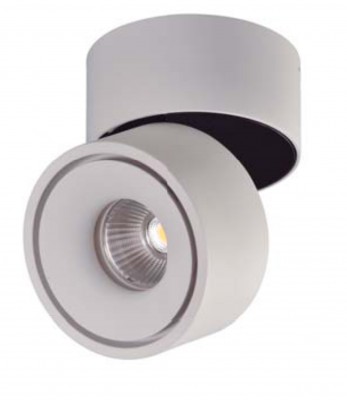 Stropné nastaviteľné LED svietidlo ACB 3412/10
